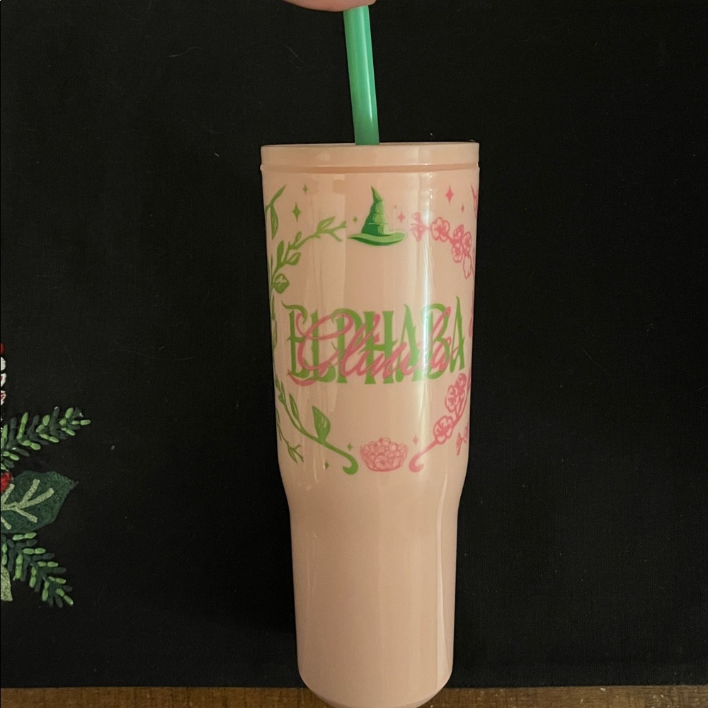 Target Wicked For Good Elphaba Glinda 34oz Tumbler w/ Handle
